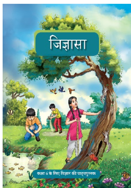 N.C.E.R.T जिज्ञासा विज्ञान हिंदी मीडियम (Jigyasa Vigyan) Text Book-6 (With Buinding Cover)