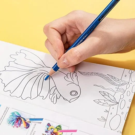 Master Art Premium Grade Coloured Pencils (Set of 24 Pencils)